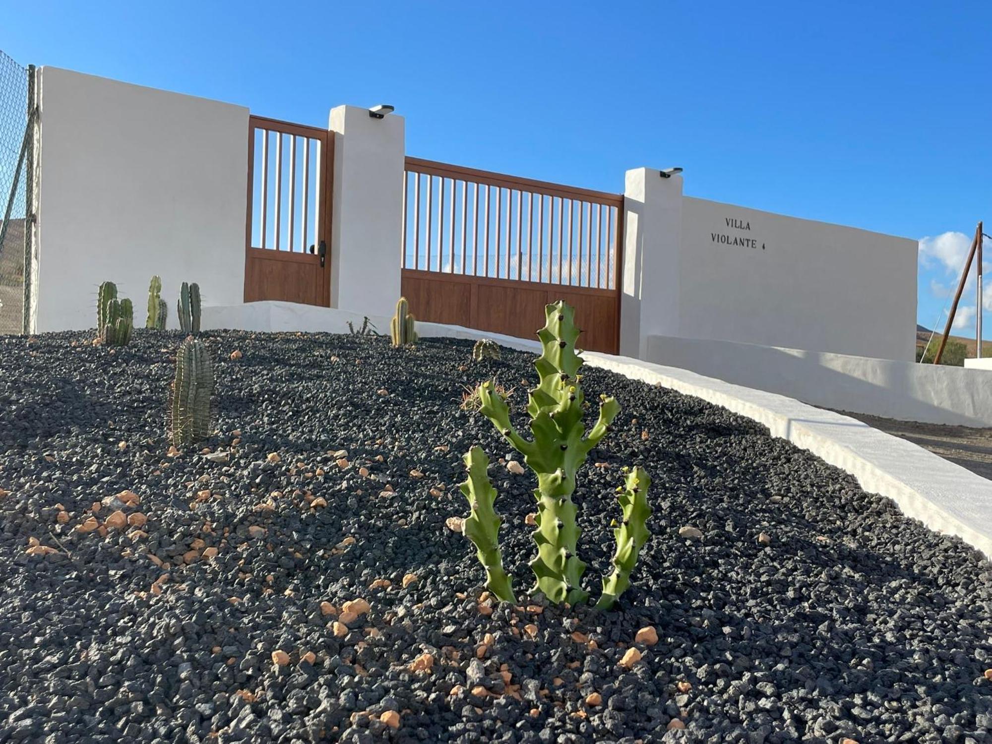 Apartamentos Violante Туйнехе Экстерьер фото
